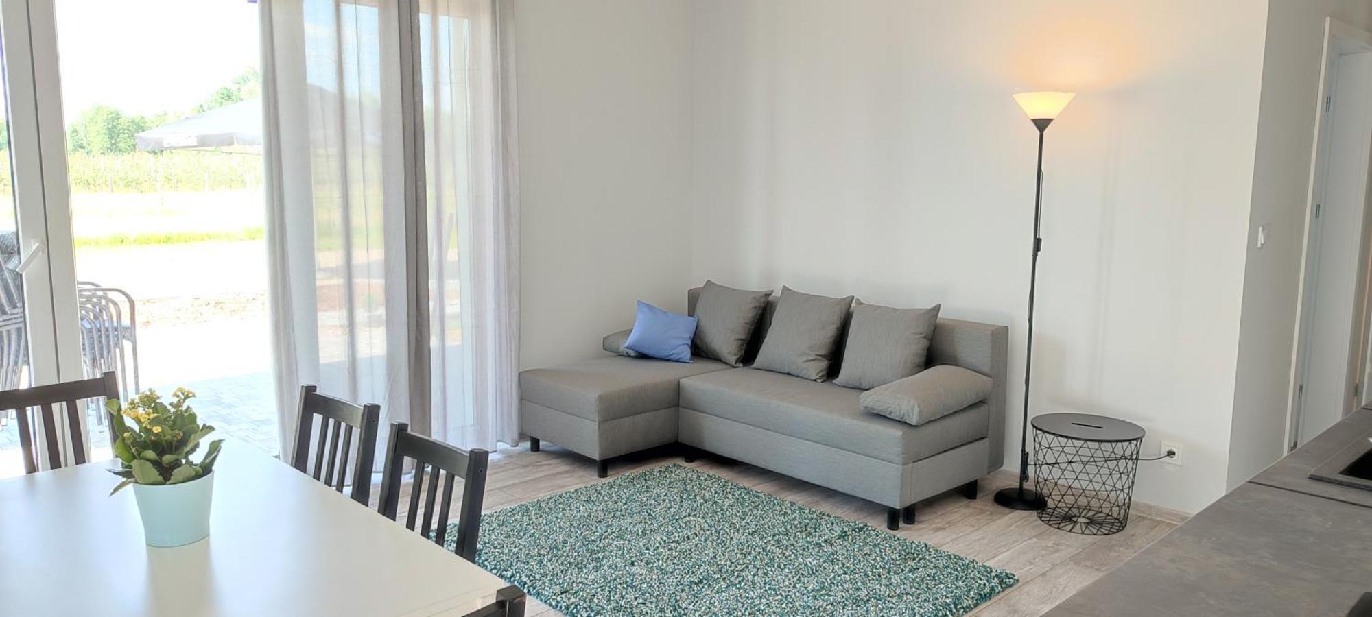Apartamenty Wilga Z Calorocznym Jacuzzi I Letnim Basenem Extérieur photo